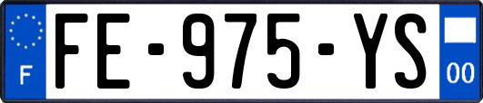 FE-975-YS