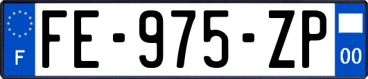 FE-975-ZP