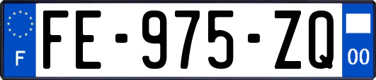 FE-975-ZQ