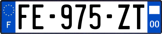 FE-975-ZT