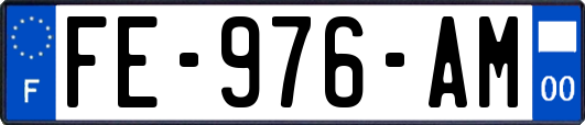 FE-976-AM