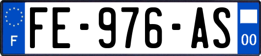 FE-976-AS