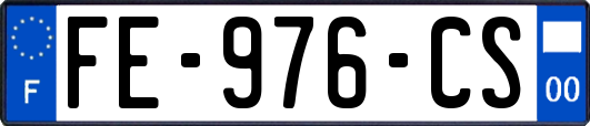 FE-976-CS