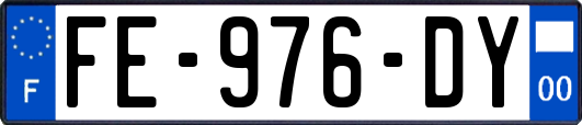 FE-976-DY