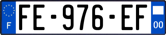 FE-976-EF