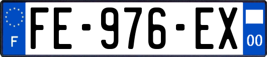 FE-976-EX