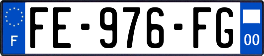FE-976-FG