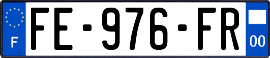 FE-976-FR