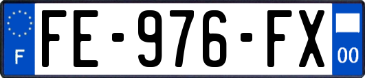 FE-976-FX