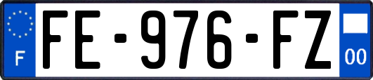FE-976-FZ