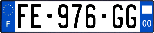 FE-976-GG
