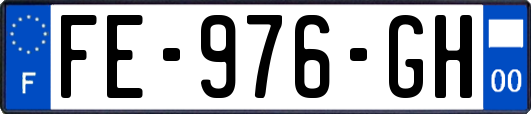 FE-976-GH