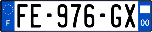 FE-976-GX