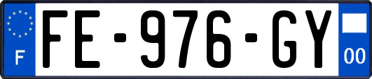 FE-976-GY