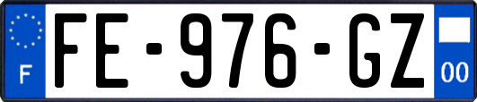 FE-976-GZ