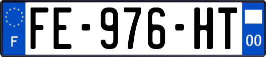 FE-976-HT