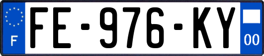 FE-976-KY