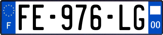 FE-976-LG