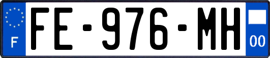 FE-976-MH