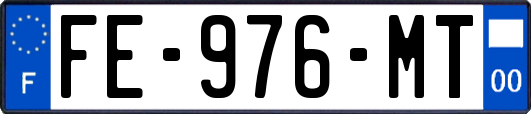 FE-976-MT