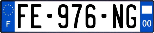 FE-976-NG