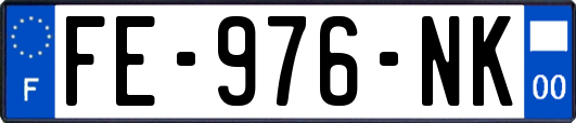 FE-976-NK