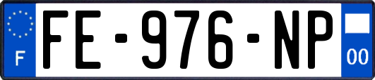 FE-976-NP