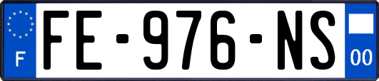 FE-976-NS