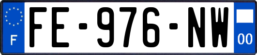 FE-976-NW