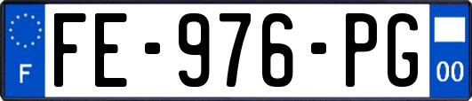 FE-976-PG