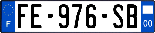 FE-976-SB