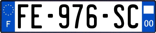 FE-976-SC