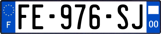 FE-976-SJ