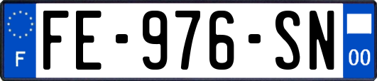 FE-976-SN