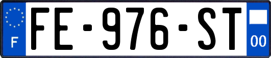FE-976-ST