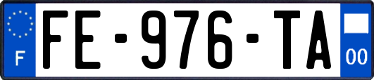 FE-976-TA
