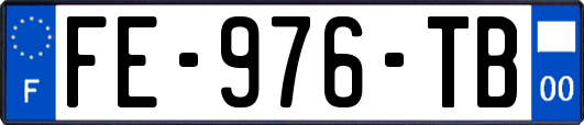 FE-976-TB