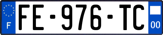 FE-976-TC