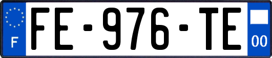FE-976-TE