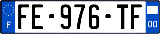 FE-976-TF