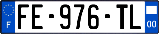 FE-976-TL