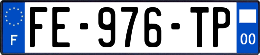 FE-976-TP