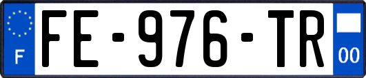 FE-976-TR