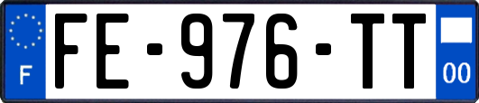 FE-976-TT