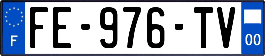 FE-976-TV