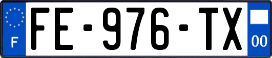 FE-976-TX
