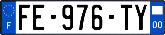 FE-976-TY