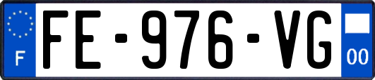 FE-976-VG