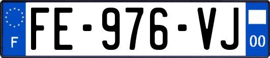 FE-976-VJ