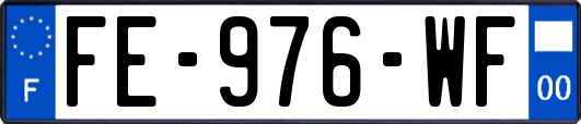 FE-976-WF